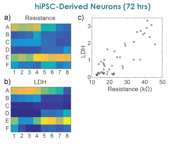 Multiplexed Cell Based Assay Of Neuronal Structure Function For